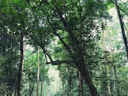 Banco National Park